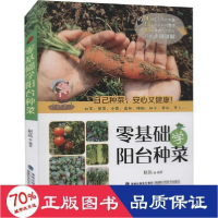 正版新书]零基础学阳台种菜 种植业 新华赵晶9787533563639