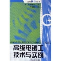 正版新书]高级技工丛书--高级电镀工技术与实例王玲978753454746
