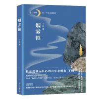 正版新书]烟雾镇丁颜著9787532179244