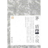 正版新书]茅盾小说/经典文存傅光明9787533929022