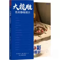 正版新书]大揽胜:色彩静物照片刘洋9787534065484