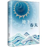 正版新书]地下春天梁空9787536091672