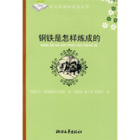 正版新书]钢铁是怎样炼成的苏.9787533908829