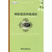 正版新书]钢铁是怎样炼成的苏.9787533908829