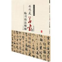 正版新书]孙过庭草书临习技法精解(下卷)白龙9787534858918