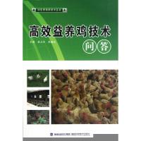 正版新书]高效益养猪技术问答/绿色养殖新技术丛书修金生//陈如