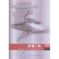 正版新书]桥梁工程罗世东9787535281852