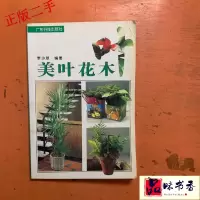 正版新书]美叶花木李少球9787535916426