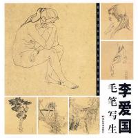 正版新书]李爱国毛笔写生李爱国 绘9787538625486