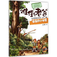 正版新书]难倒老爸系列(2-7岁):虫虫的小秘密 [3-6岁]纸上魔