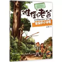 正版新书]难倒老爸系列(2-7岁):虫虫的小秘密 [3-6岁]纸上魔