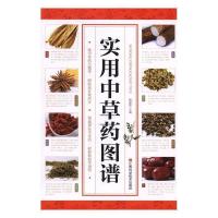 正版新书]实用中草药图谱杨建峰9787539058368
