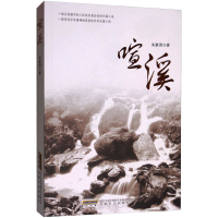 正版新书]喧溪朱康清9787539659374