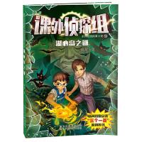 正版新书]课外侦探组系列9—湖心岛之谜谢鑫9787537640558