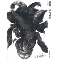 正版新书]静远作品:黑白·表现素描孙静远 绘9787538623475