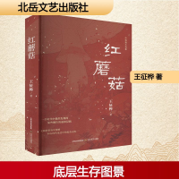 正版新书]红蘑菇王征桦 著9787537869409