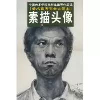 正版新书]素描头像:美术高考完全大范本杨超凡9787538629903