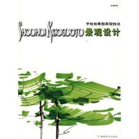 正版新书]景观设计赵国斌9787539316185