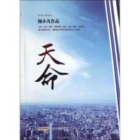 正版新书]天命杨小凡9787539643021
