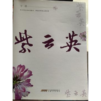 正版新书]紫云英宇桥9787539670409