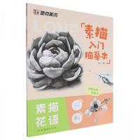 正版新书]素描入门描摹本.素描花语魏平 编者9787540166601
