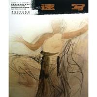 正版新书]速写(高等院校美术类专业教材)孙志宜//王勋//石祥强97