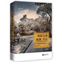 正版新书]低眉尘世随遇而安积雪草9787539977669