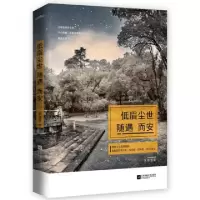 正版新书]低眉尘世随遇而安积雪草9787539977669