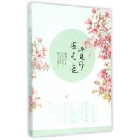 正版新书]遇见你遇见爱颜月溪9787539982052