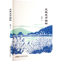 正版新书]风起龙子湖畔张效永 著9787539681535
