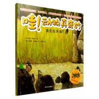 正版新书]哇!动物真奇妙:谁在拉臭臭?[法]玛丽·帕赛瓦 著;
