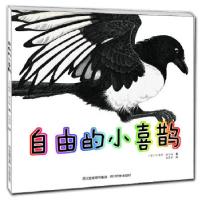 正版新书]自由的小喜鹊艾谱莉·威尔逊 著9787540951863