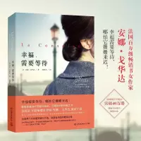 正版新书]幸福需要等待安娜·戈华达9787540478704