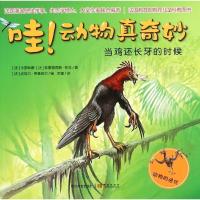 正版新书]哇!动物真奇妙?当鸡还长牙的时候/动物真奇妙卡罗琳娜