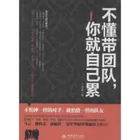 正版新书]不懂带团队你就自己累丁兴良9787542941954