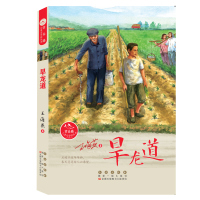 正版新书]旱龙道王海燕9787544557368