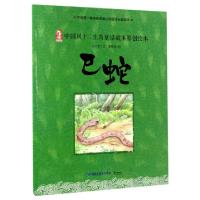 正版新书]巳蛇/中国风十二生肖童话故事原创绘本张立章|绘画:蒙