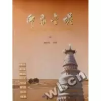 正版新书]印象金塔胡志鸿9787546800639