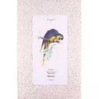 正版新书]鹦鹉圣经[英]爱德华·李尔9787546119359