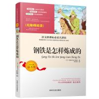 正版新书]钢铁是怎样炼成的焦庆锋9787547227886