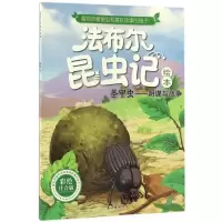 正版新书]圣甲虫:阴谋与战争齐遇编绘9787549242061