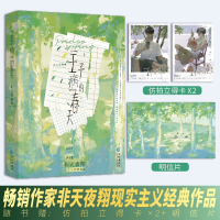 正版新书]《“王子病”的春天》非天夜翔9787549294220