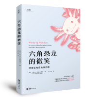 正版新书]六角恐龙的微笑(美)艾梅·内茨库玛塔尔 著 王巧俐 译97