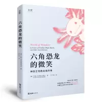 正版新书]六角恐龙的微笑(美)艾梅·内茨库玛塔尔 著 王巧俐 译97