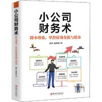 正版新书]小公司财务术赵涛9787548068976