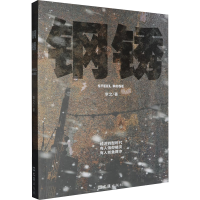 正版新书]钢锈幸之9787549643554