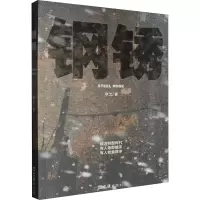 正版新书]钢锈幸之9787549643554