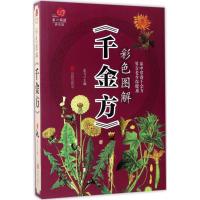 正版新书]彩色图解《千金方》孟飞 主编9787550285903