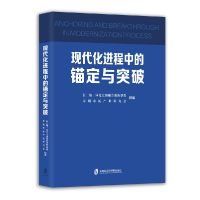 正版新书]现代化进程中的锚定与突破长三角一体化太湖融合创新联