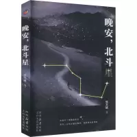 正版新书]晚安,北斗星张文斌 著 著9787551328043